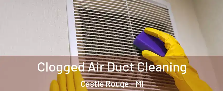 Clogged Air Duct Cleaning Castle Rouge - MI