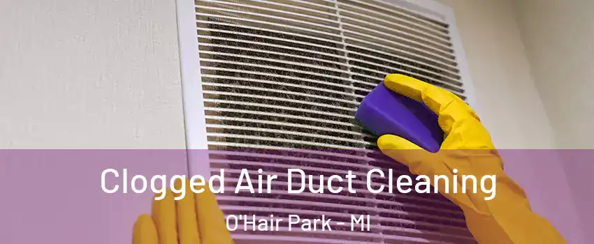 Clogged Air Duct Cleaning O'Hair Park - MI