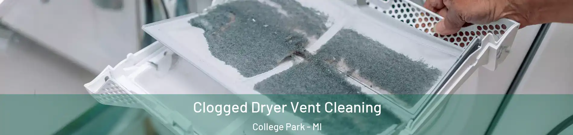 Clogged Dryer Vent Cleaning College Park - MI