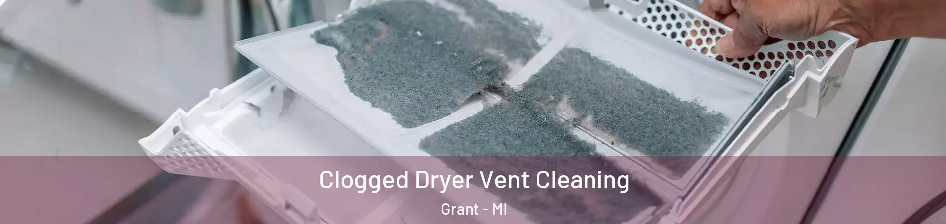 Clogged Dryer Vent Cleaning Grant - MI