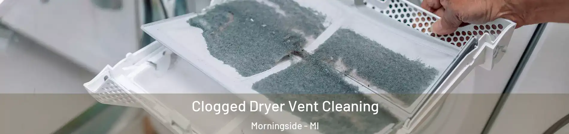 Clogged Dryer Vent Cleaning Morningside - MI