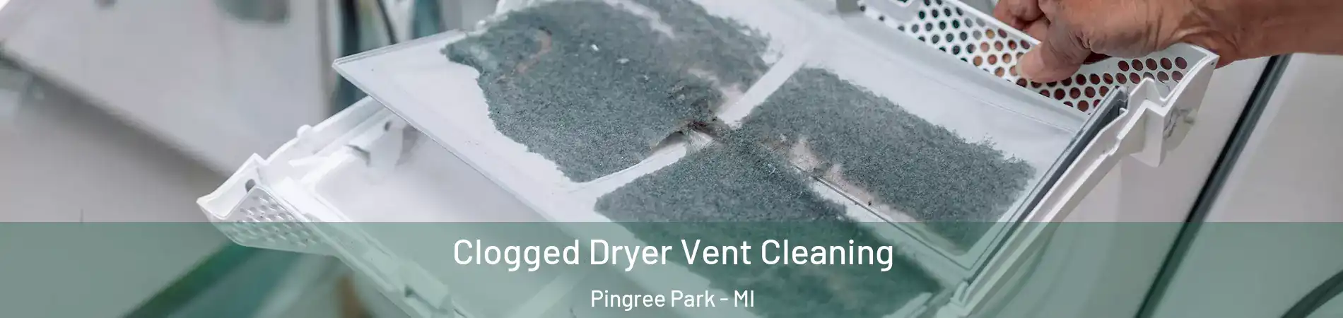 Clogged Dryer Vent Cleaning Pingree Park - MI