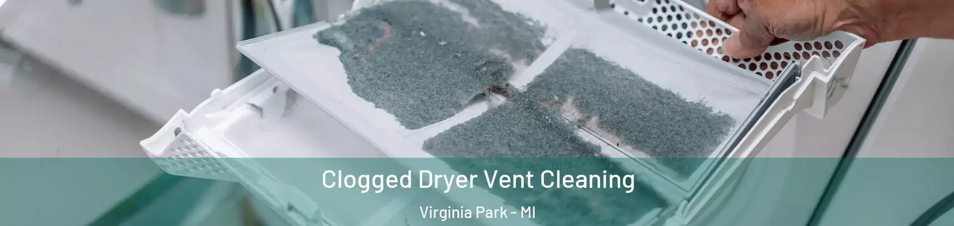 Clogged Dryer Vent Cleaning Virginia Park - MI