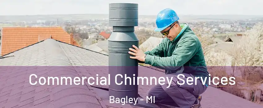 Commercial Chimney Services Bagley - MI