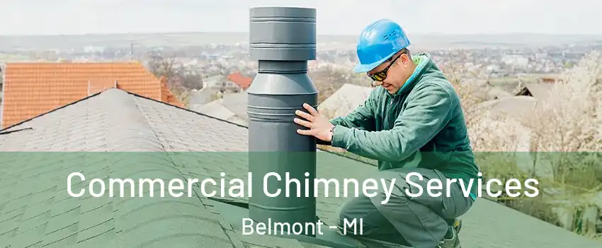 Commercial Chimney Services Belmont - MI