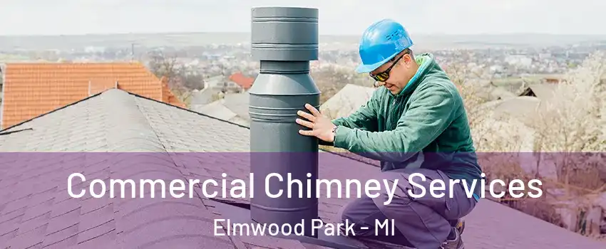 Commercial Chimney Services Elmwood Park - MI