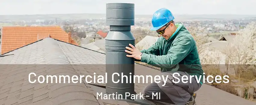 Commercial Chimney Services Martin Park - MI