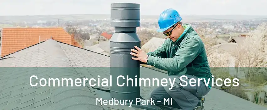 Commercial Chimney Services Medbury Park - MI