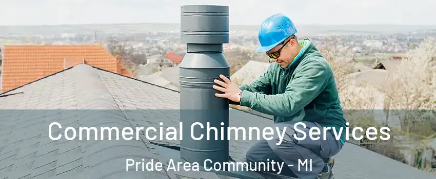 Commercial Chimney Services Pride Area Community - MI