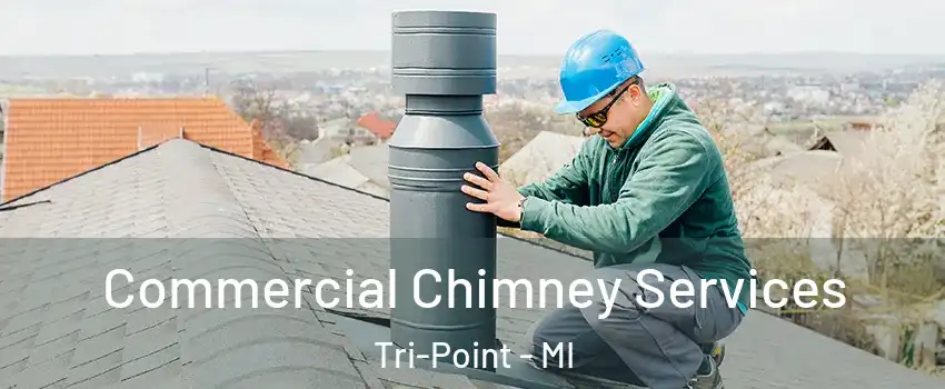 Commercial Chimney Services Tri-Point - MI