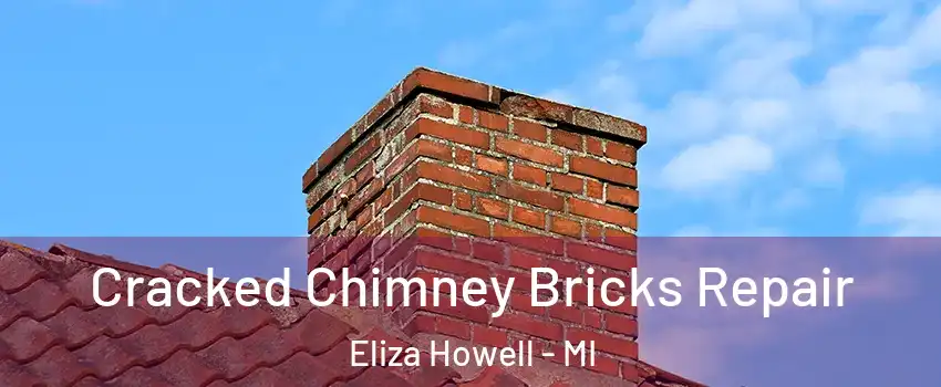 Cracked Chimney Bricks Repair Eliza Howell - MI