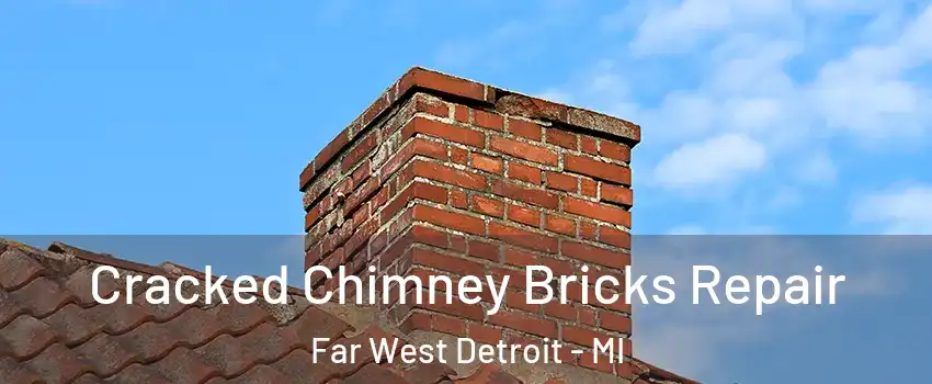 Cracked Chimney Bricks Repair Far West Detroit - MI