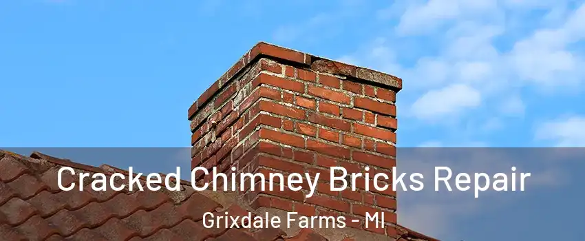 Cracked Chimney Bricks Repair Grixdale Farms - MI