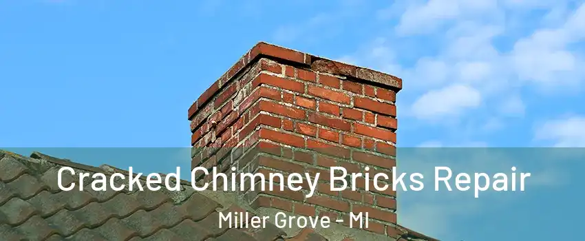 Cracked Chimney Bricks Repair Miller Grove - MI