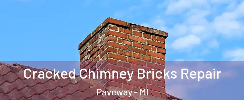 Cracked Chimney Bricks Repair Paveway - MI