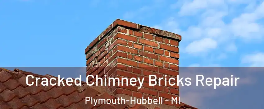 Cracked Chimney Bricks Repair Plymouth-Hubbell - MI