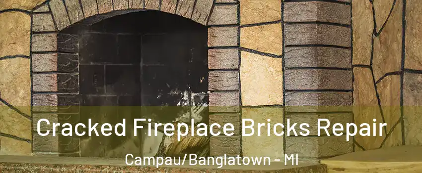 Cracked Fireplace Bricks Repair Campau/Banglatown - MI