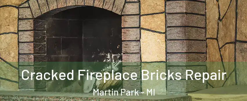 Cracked Fireplace Bricks Repair Martin Park - MI