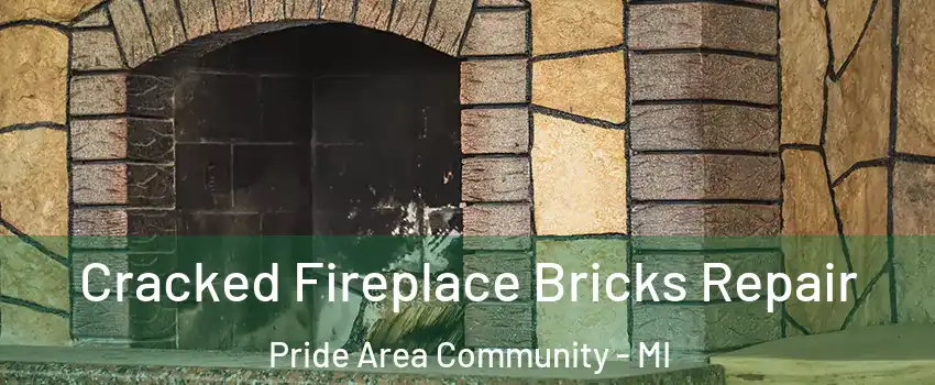 Cracked Fireplace Bricks Repair Pride Area Community - MI