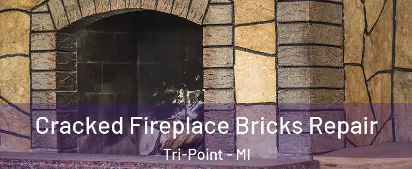 Cracked Fireplace Bricks Repair Tri-Point - MI