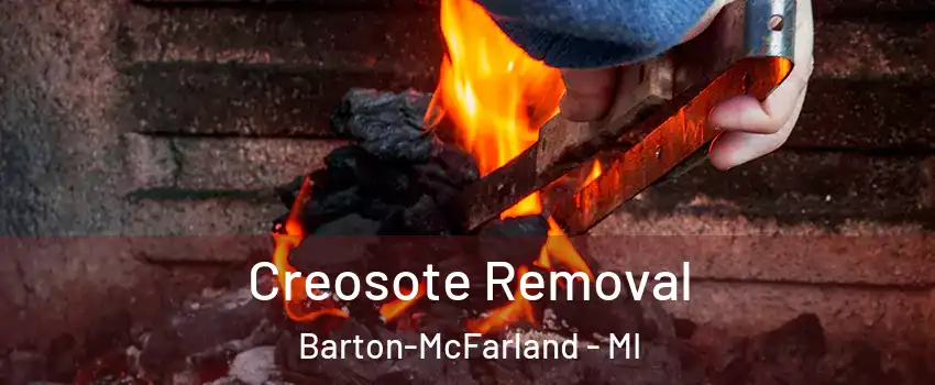 Creosote Removal Barton-McFarland - MI