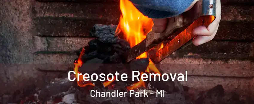 Creosote Removal Chandler Park - MI