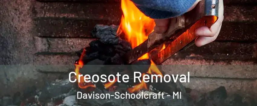 Creosote Removal Davison-Schoolcraft - MI