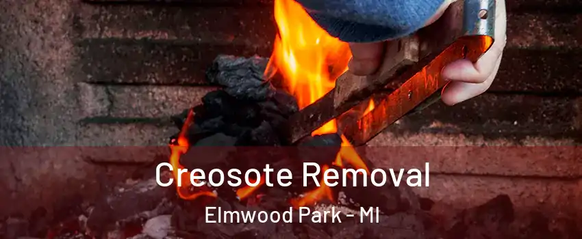 Creosote Removal Elmwood Park - MI