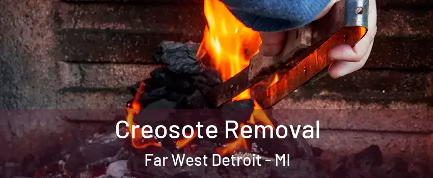 Creosote Removal Far West Detroit - MI