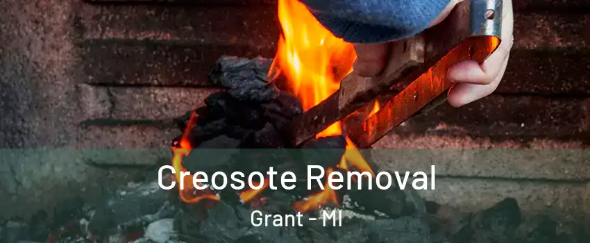 Creosote Removal Grant - MI