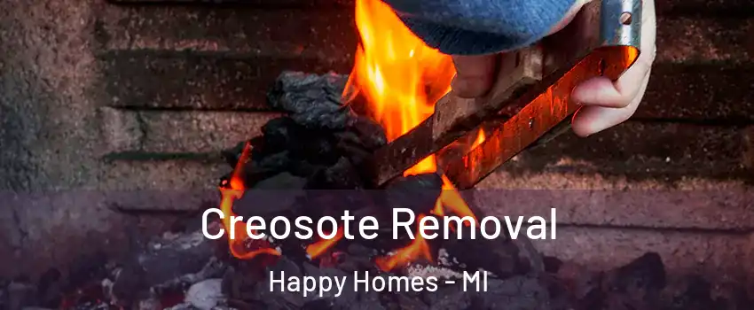 Creosote Removal Happy Homes - MI