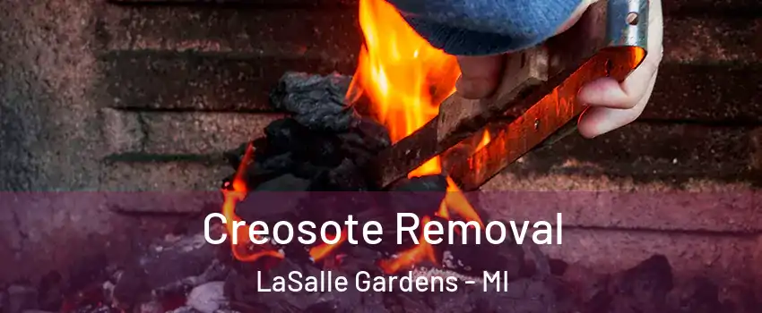 Creosote Removal LaSalle Gardens - MI