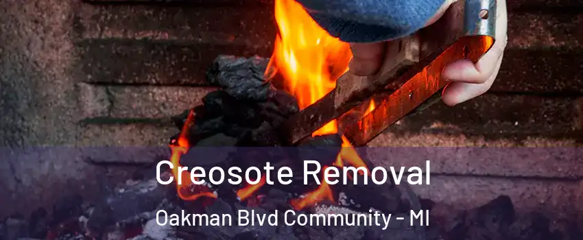 Creosote Removal Oakman Blvd Community - MI