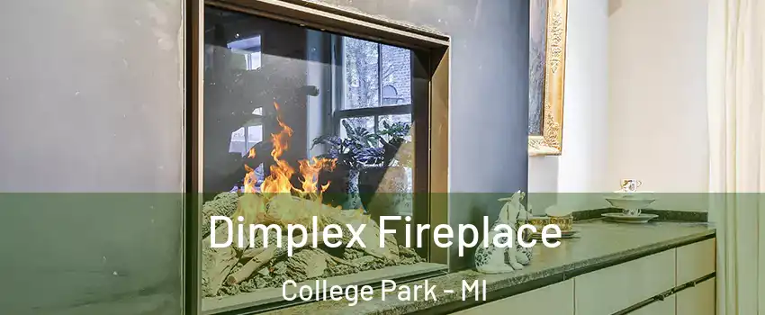 Dimplex Fireplace College Park - MI