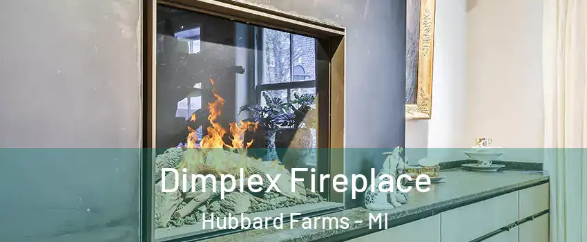 Dimplex Fireplace Hubbard Farms - MI