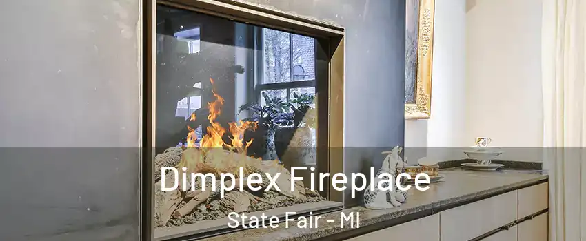 Dimplex Fireplace State Fair - MI