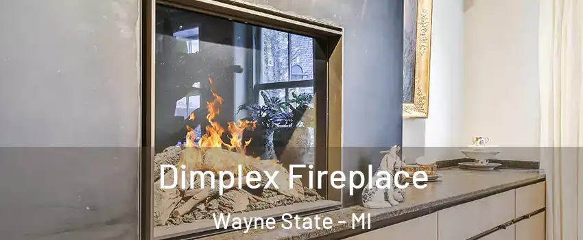 Dimplex Fireplace Wayne State - MI