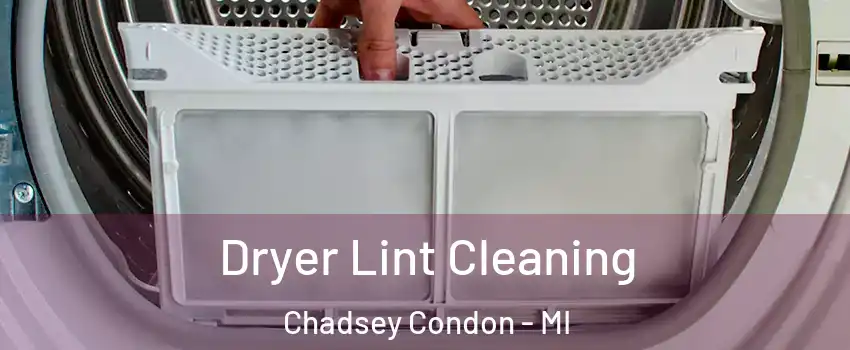 Dryer Lint Cleaning Chadsey Condon - MI