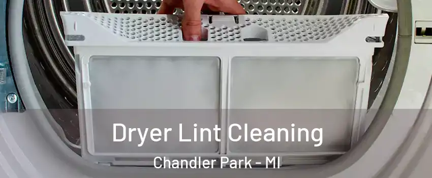 Dryer Lint Cleaning Chandler Park - MI