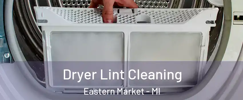 Dryer Lint Cleaning Eastern Market - MI