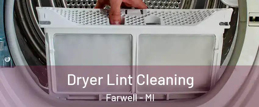 Dryer Lint Cleaning Farwell - MI