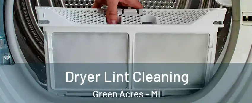 Dryer Lint Cleaning Green Acres - MI