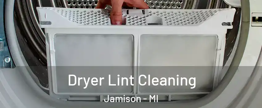 Dryer Lint Cleaning Jamison - MI