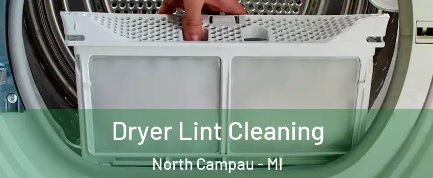 Dryer Lint Cleaning North Campau - MI