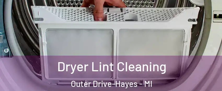 Dryer Lint Cleaning Outer Drive-Hayes - MI