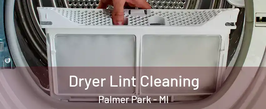 Dryer Lint Cleaning Palmer Park - MI