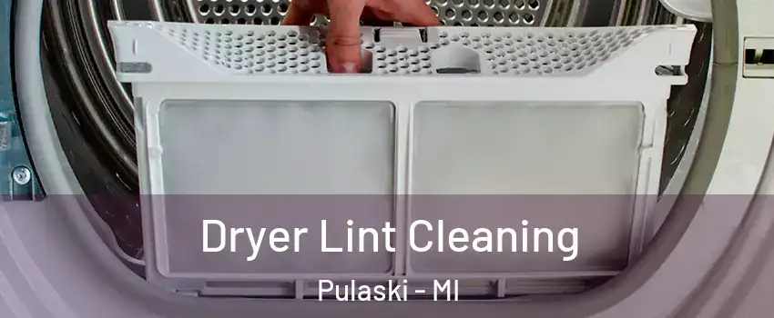 Dryer Lint Cleaning Pulaski - MI