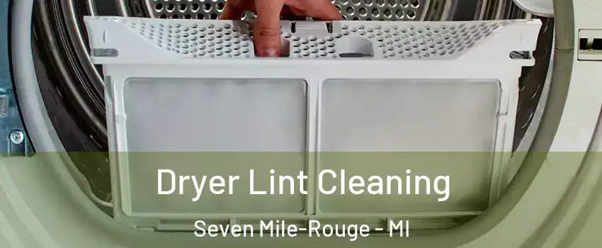 Dryer Lint Cleaning Seven Mile-Rouge - MI