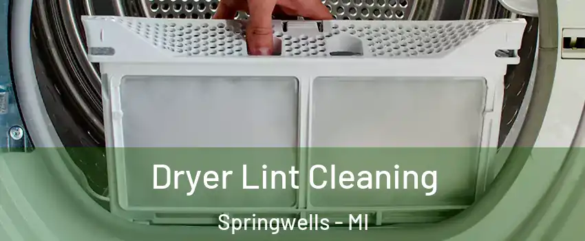 Dryer Lint Cleaning Springwells - MI