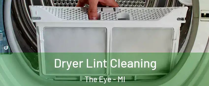 Dryer Lint Cleaning The Eye - MI